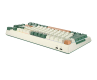 Royal Kludge RKH81 RGB (Sky cyan switch) - Zielona RKH 81 skycyan green - 1198934 - zdjęcie 6